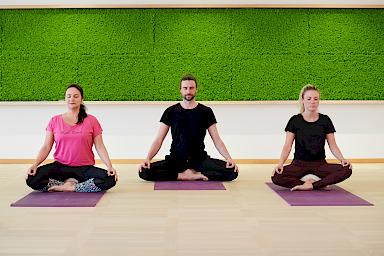 Yoga Kurs Göttingen Meditation