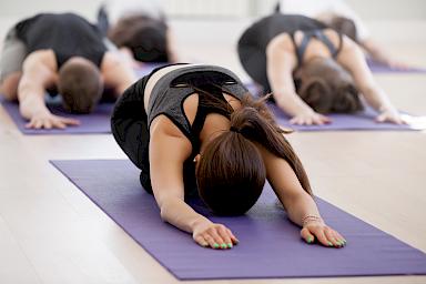 Gruppe macht Yoga auf Yogamatte im VITAL SPA
